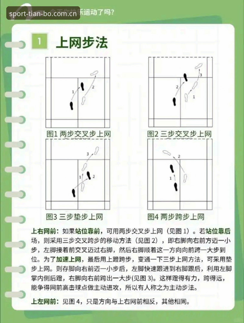 5个技巧掌握体育登录入口网页版赛事数据教程，从菜鸟到达人